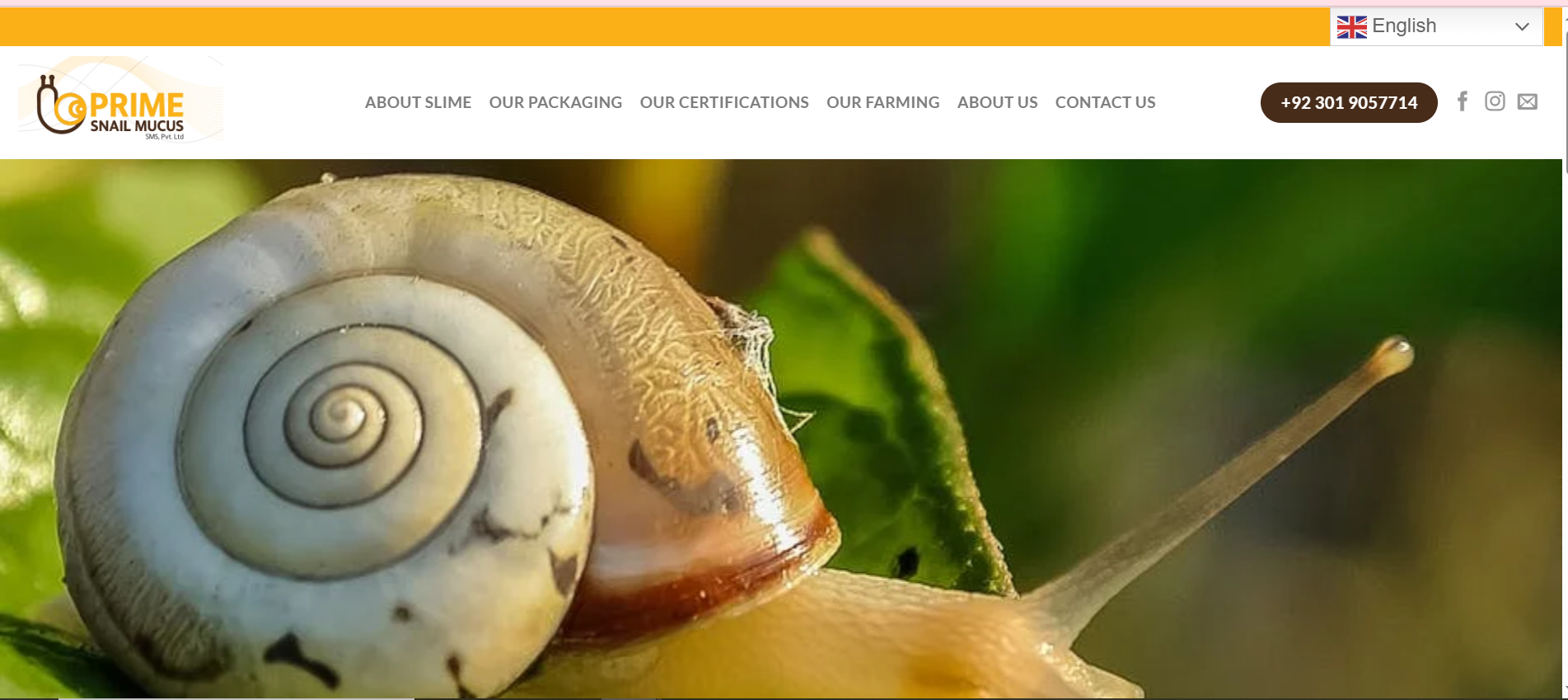 prime snail mucus