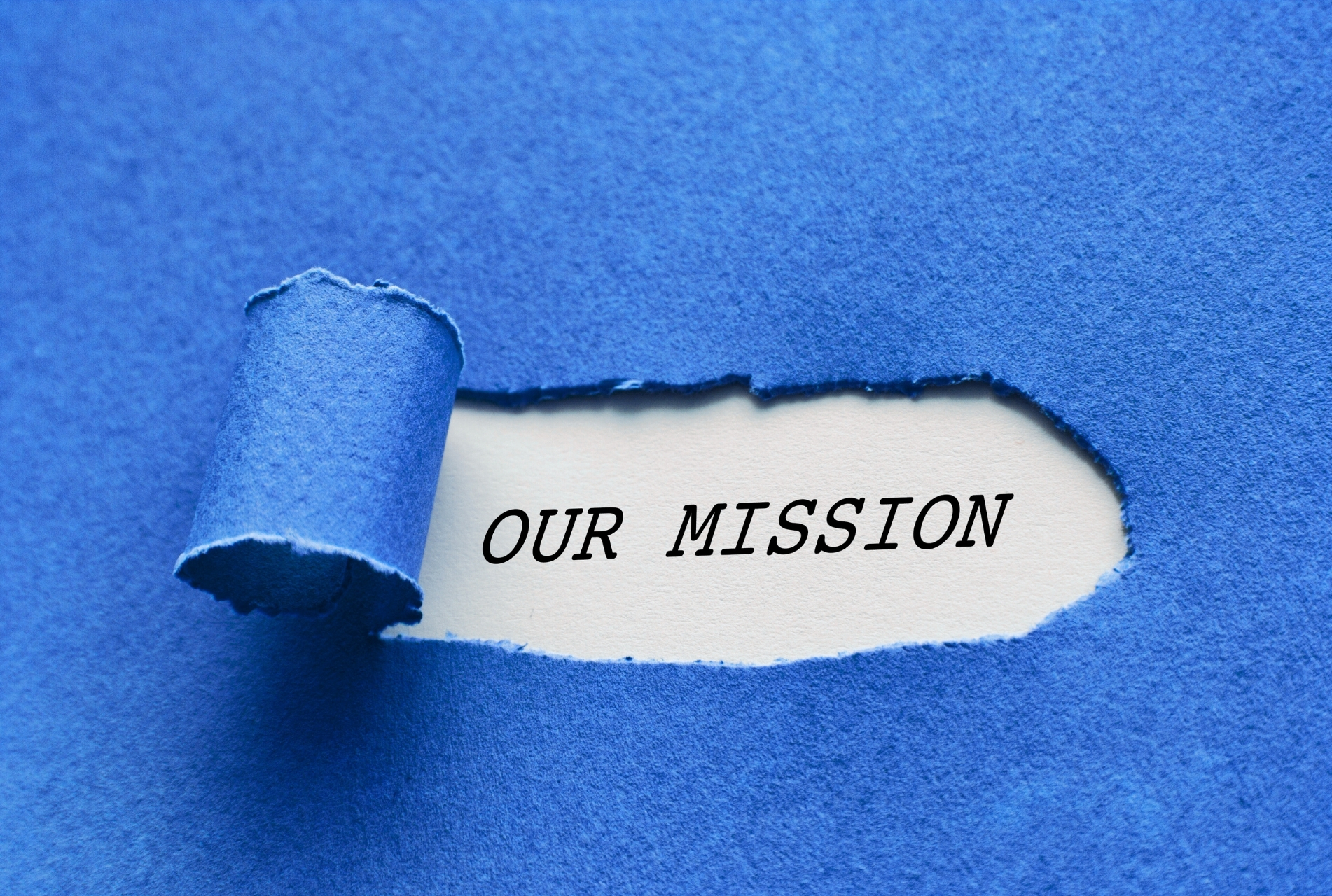 Your Growth, Our Mission 2